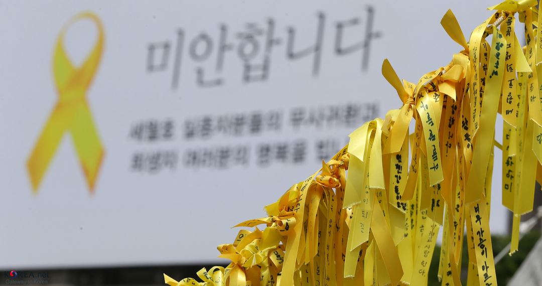 2014년 5월 세월호 희생자를 추모하며 걸린 노란 리본