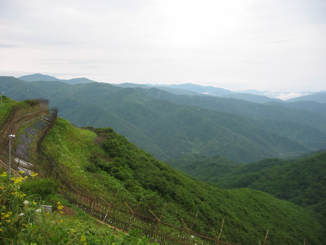 을지전망대에서 본 비무장지대 철책(해당 지역 아님)